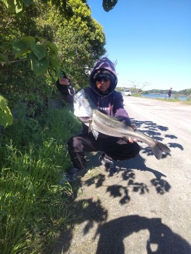 釣果