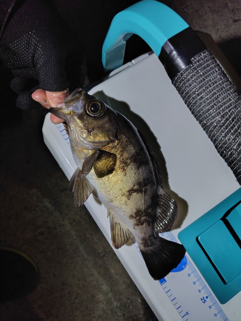 AbuGarcia エラディケーター リアルフィネス プロトタイプ ERFS-46Pro