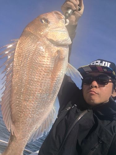 タイの釣果