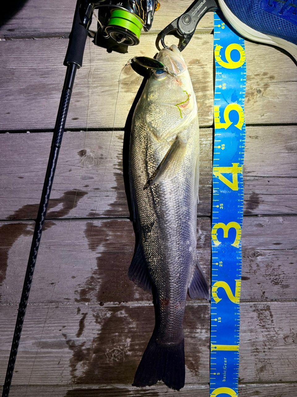 SHIMANO 18ディアルーナ S90MLの最安値・インプレ・釣果 | 本音の