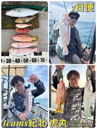 シロアマダイの釣果