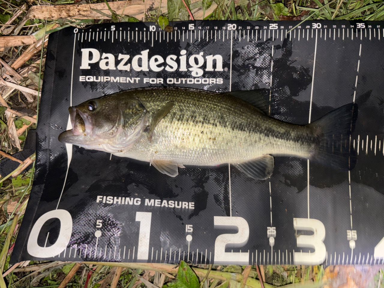 SHIMANO 19ヴァンキッシュ 2500SHGの最安値・インプレ・釣果 | 本音の
