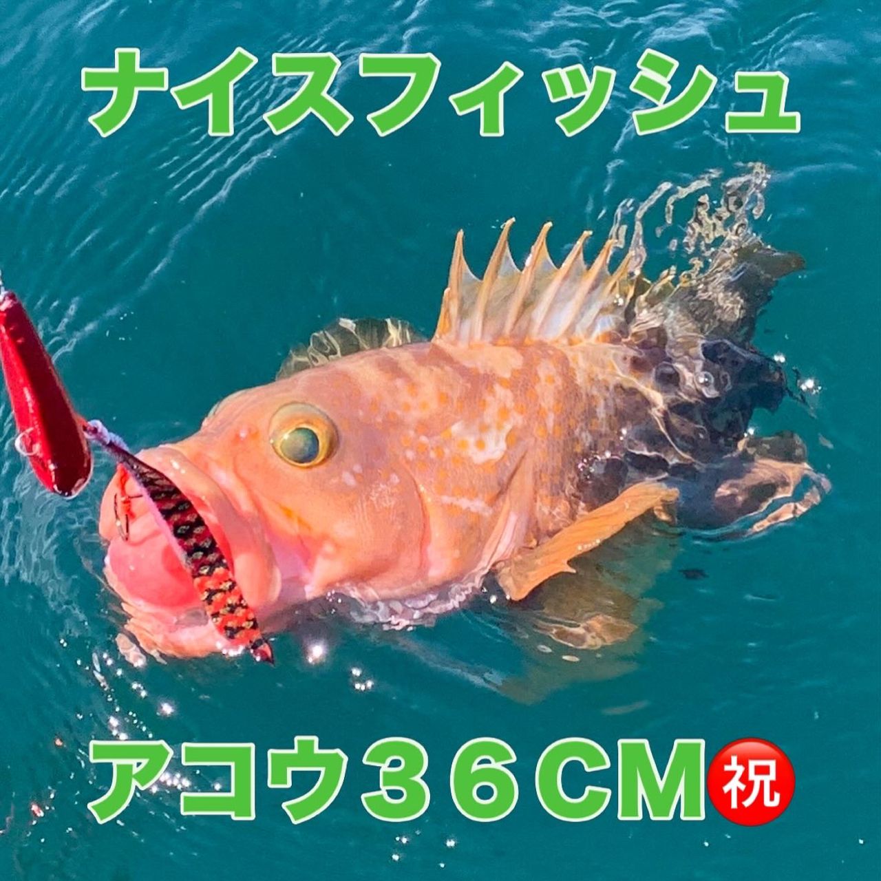 DAIWA 18紅牙 IC 100PL-RMの最安値・インプレ・釣果 | 本音の口コミが