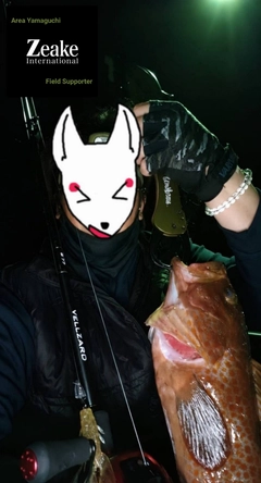 アコウの釣果