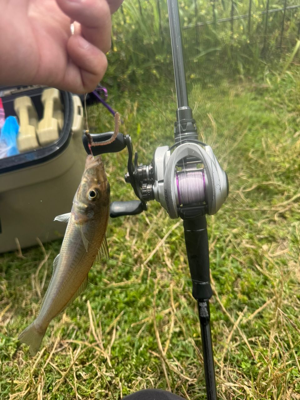 AbuGarcia ソルティーステージ プロトタイプ ベイトフィネス XLRC