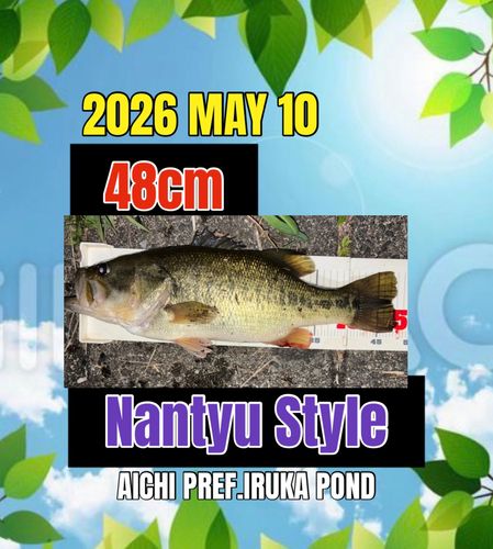 ラージマウスバスの釣果