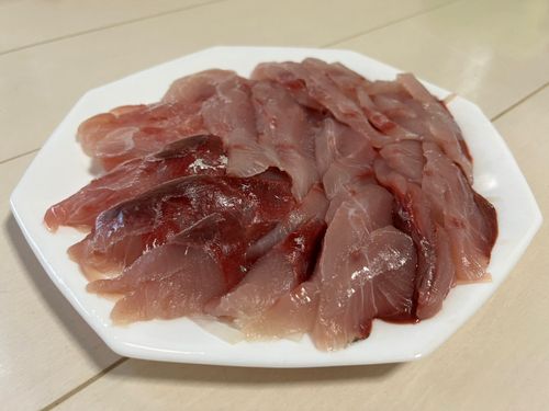 ワラサの釣果