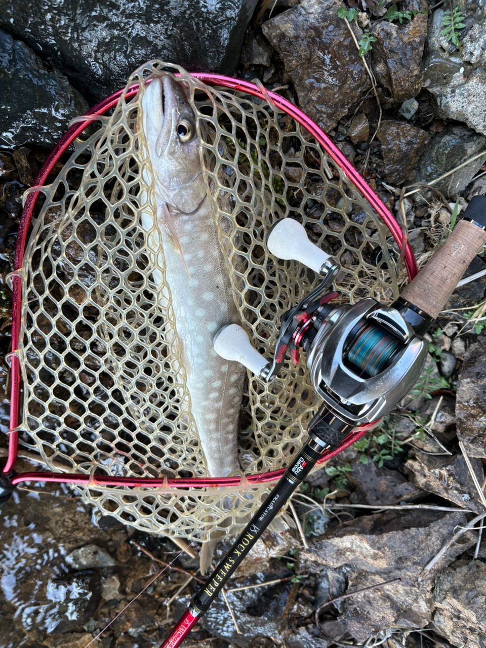 AbuGarcia エラディケーター ロックスイーパー ERSC-777H-MLの最安値