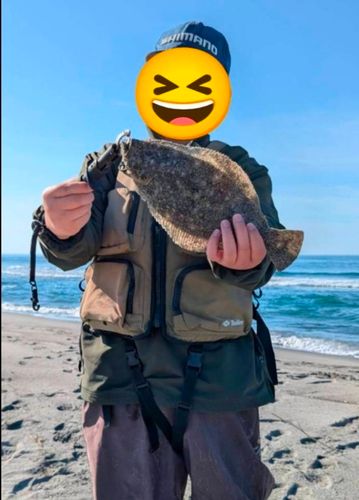 ソゲの釣果