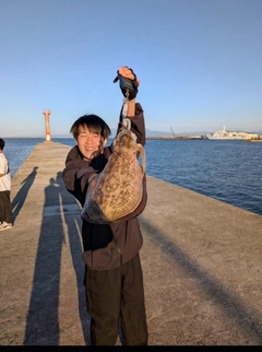 モンゴウイカの釣果