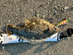 ソゲの釣果