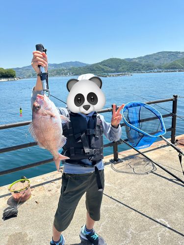 タイの釣果