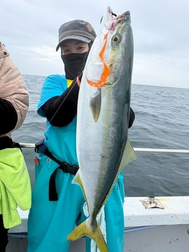 ワラサの釣果