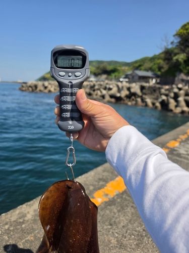 釣果
