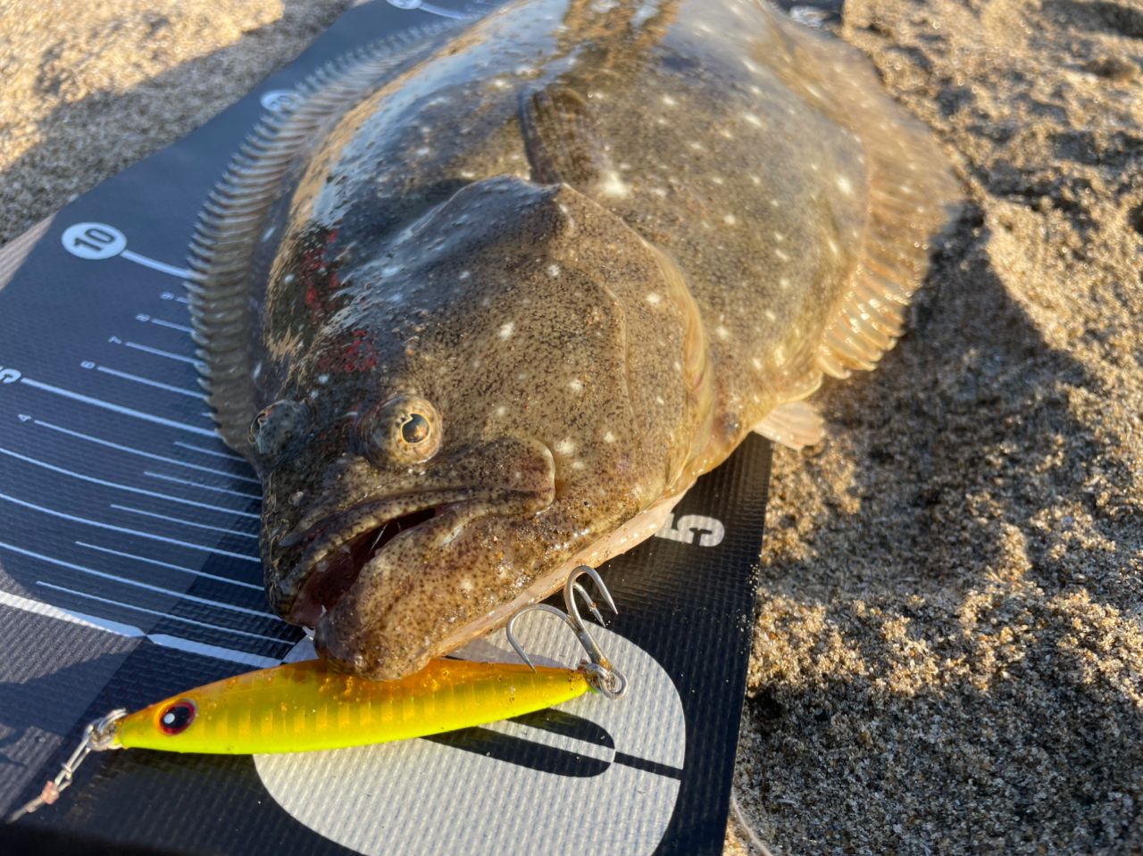 DAIWA 21オーバーゼア グランデ（サーフモデル） 1010M/MHの最安値
