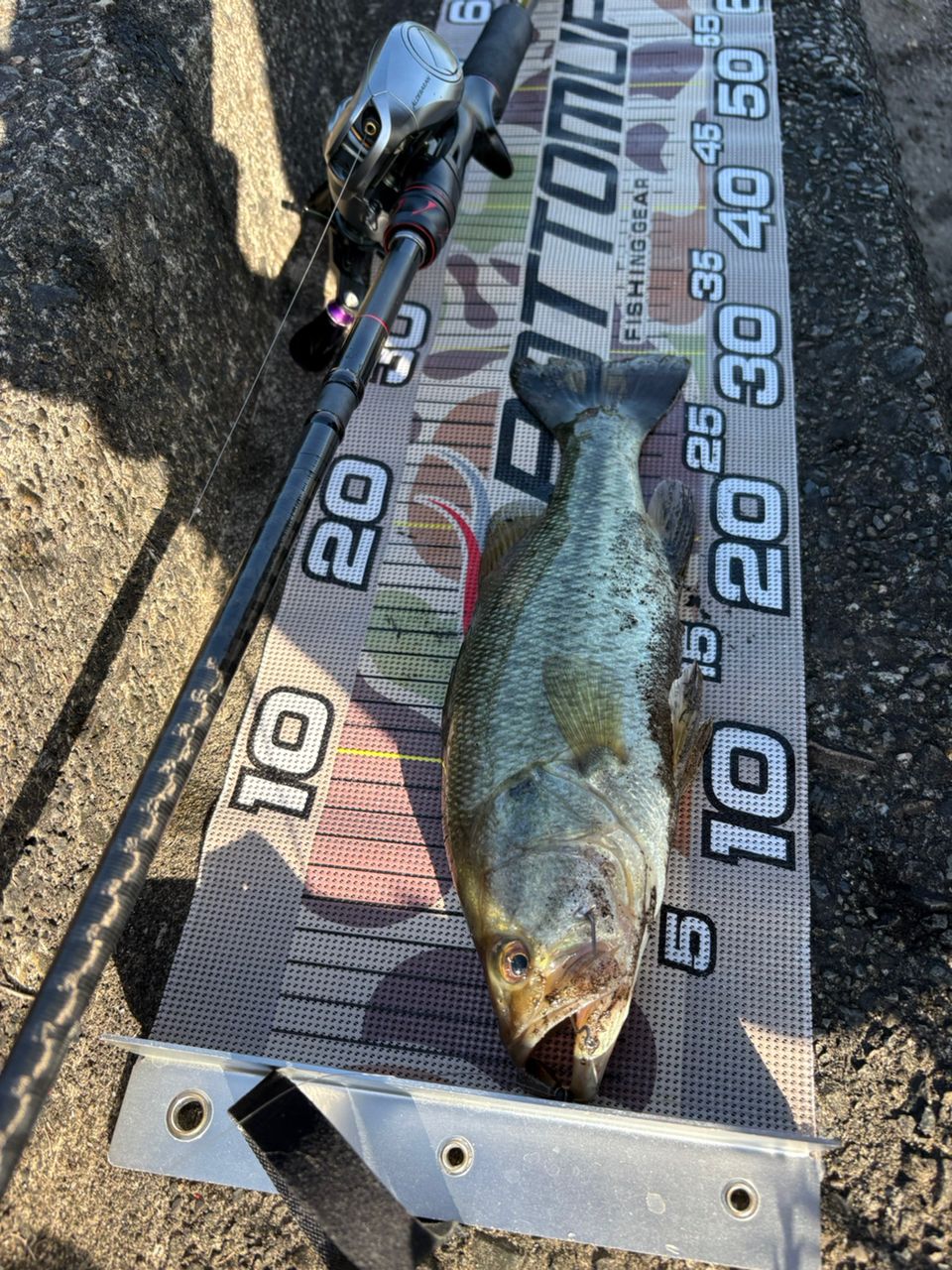SHIMANO 21ゾディアス (パックロッド) C72MH-5の最安値・インプレ