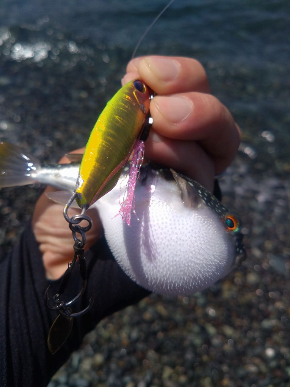 ネッサ　NESSA CI4+ S 1002MH SHIMANO ネッサ CI4+ S1002MHの最安値・インプレ・釣果 | 本音の口コミ