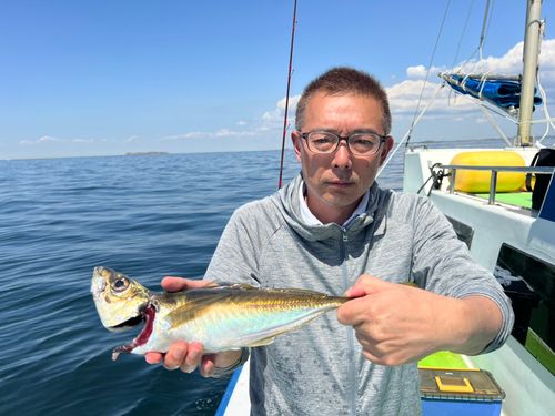マアジの釣果