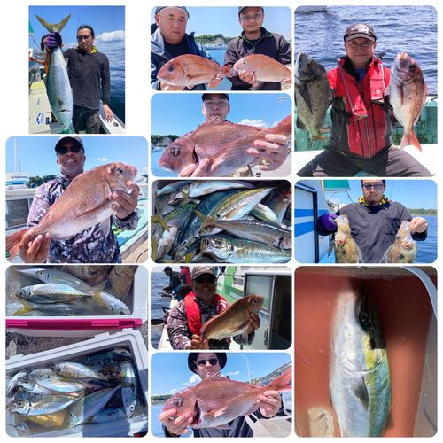 ワラサの釣果
