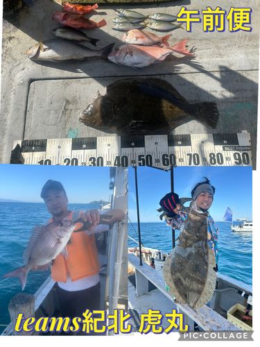 ヒラメの釣果