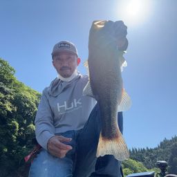 ブラックバスの釣果写真