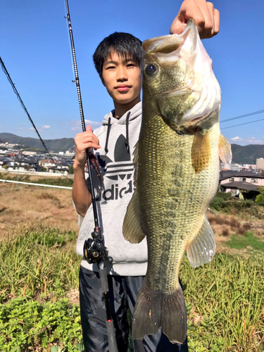 ブラックバスの釣果