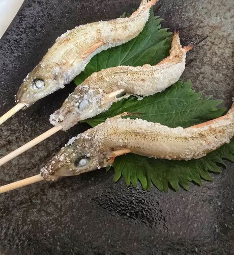 キスの釣果