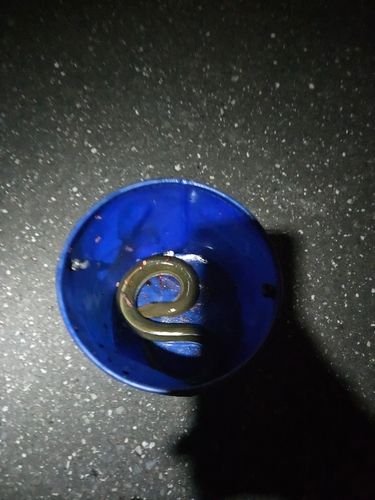 ウナギの釣果