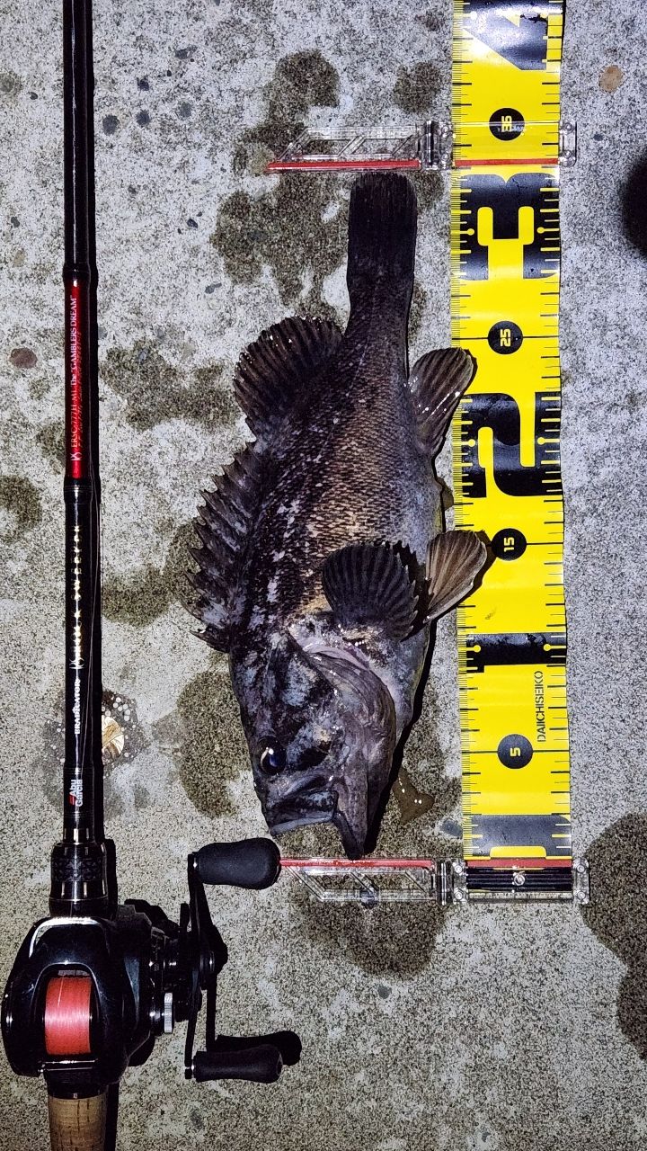 AbuGarcia エラディケーター ロックスイーパー ERSC-777H-MLの最安値