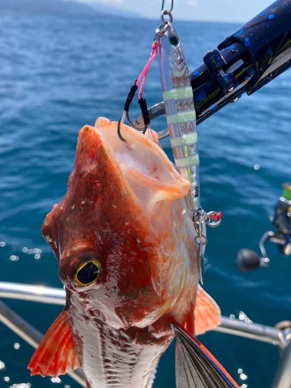 SHIMANO 21クロスミッション BB S66ML-Sの最安値・インプレ・釣果