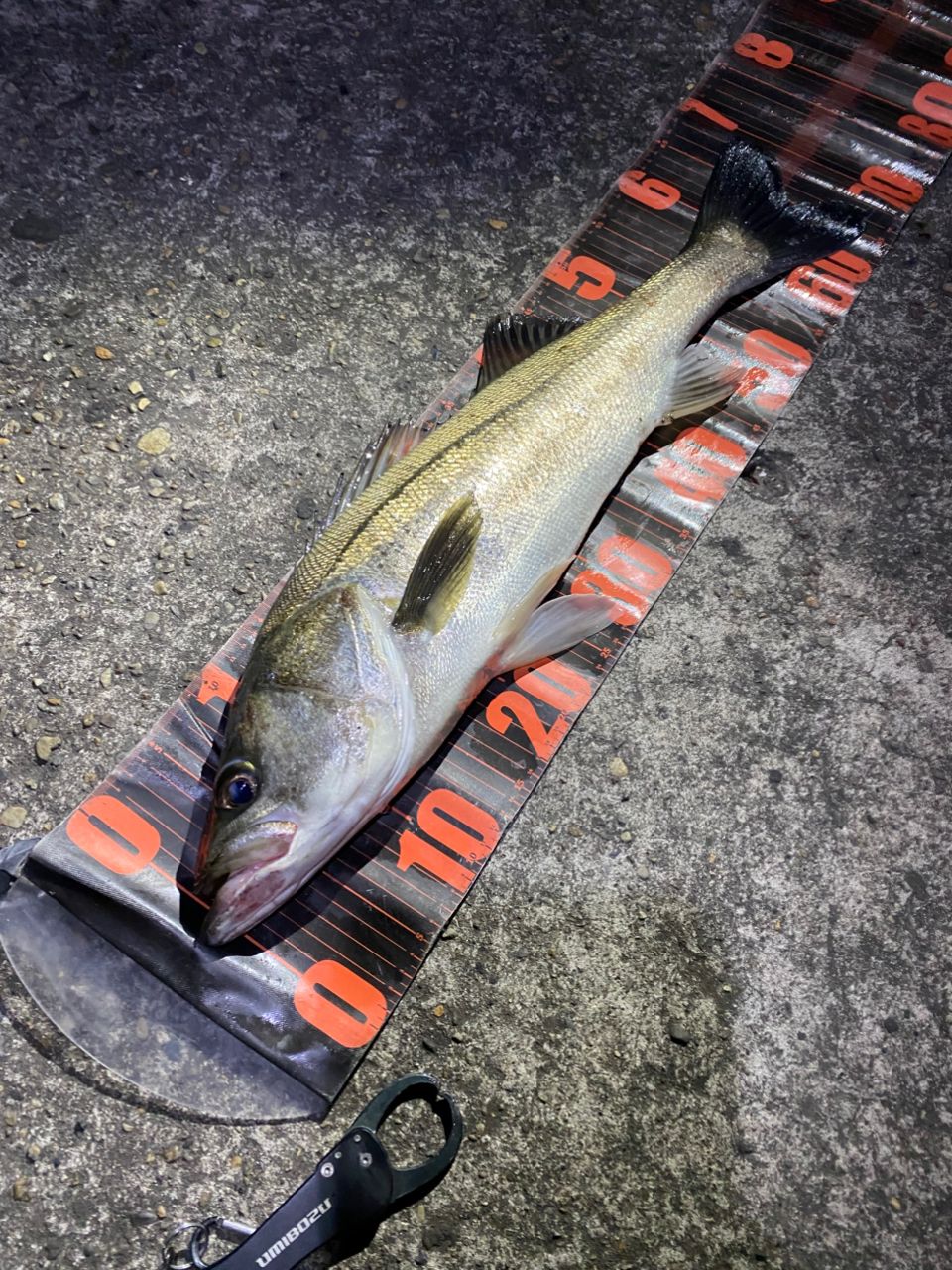 DAIWA 21モアザン ブランジーノ EX AGS 94LMLの最安値・インプレ・釣果