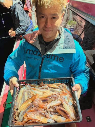 ムギイカの釣果