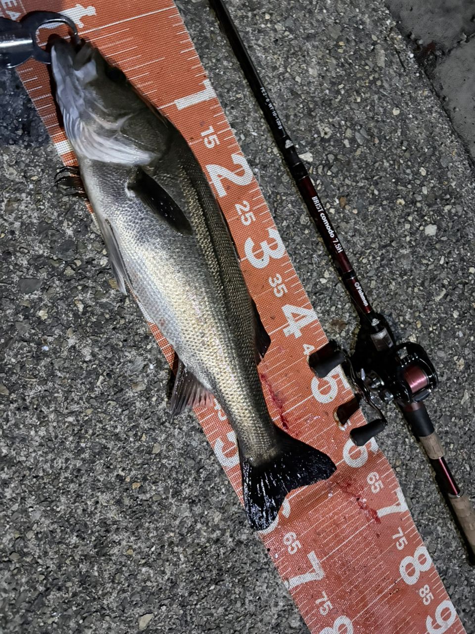 DAIWA 18ジリオン TW HD 1520SHLの最安値・インプレ・釣果 | 本音の