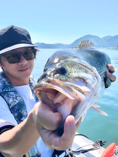 ブラックバスの釣果