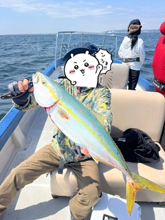ワラサの釣果