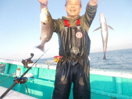イサキの釣果