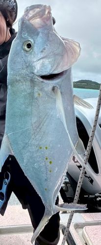 釣果