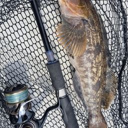 Takuya88 さんの釣り人プロフィール - アングラーズ | 釣果600万件の