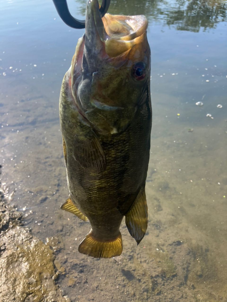 DAIWA 20リベリオン（センターカット2ピース スピニングモデル） 682ML