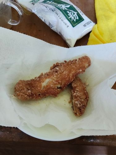 ボラの釣果