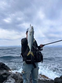 イナダの釣果