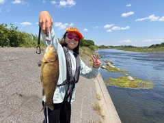 フナの釣果