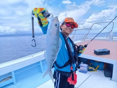 アオチビキの釣果
