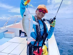 ホオアカクチビの釣果