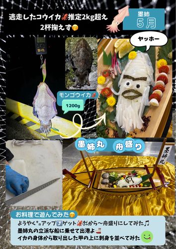 モンゴウイカの釣果