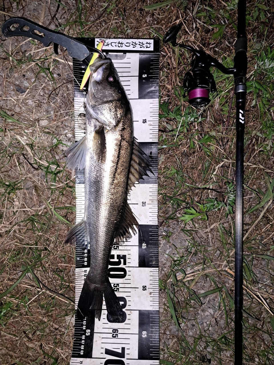 DAIWA 22ルアーニスト モバイル 96MH-4の最安値・インプレ・釣果