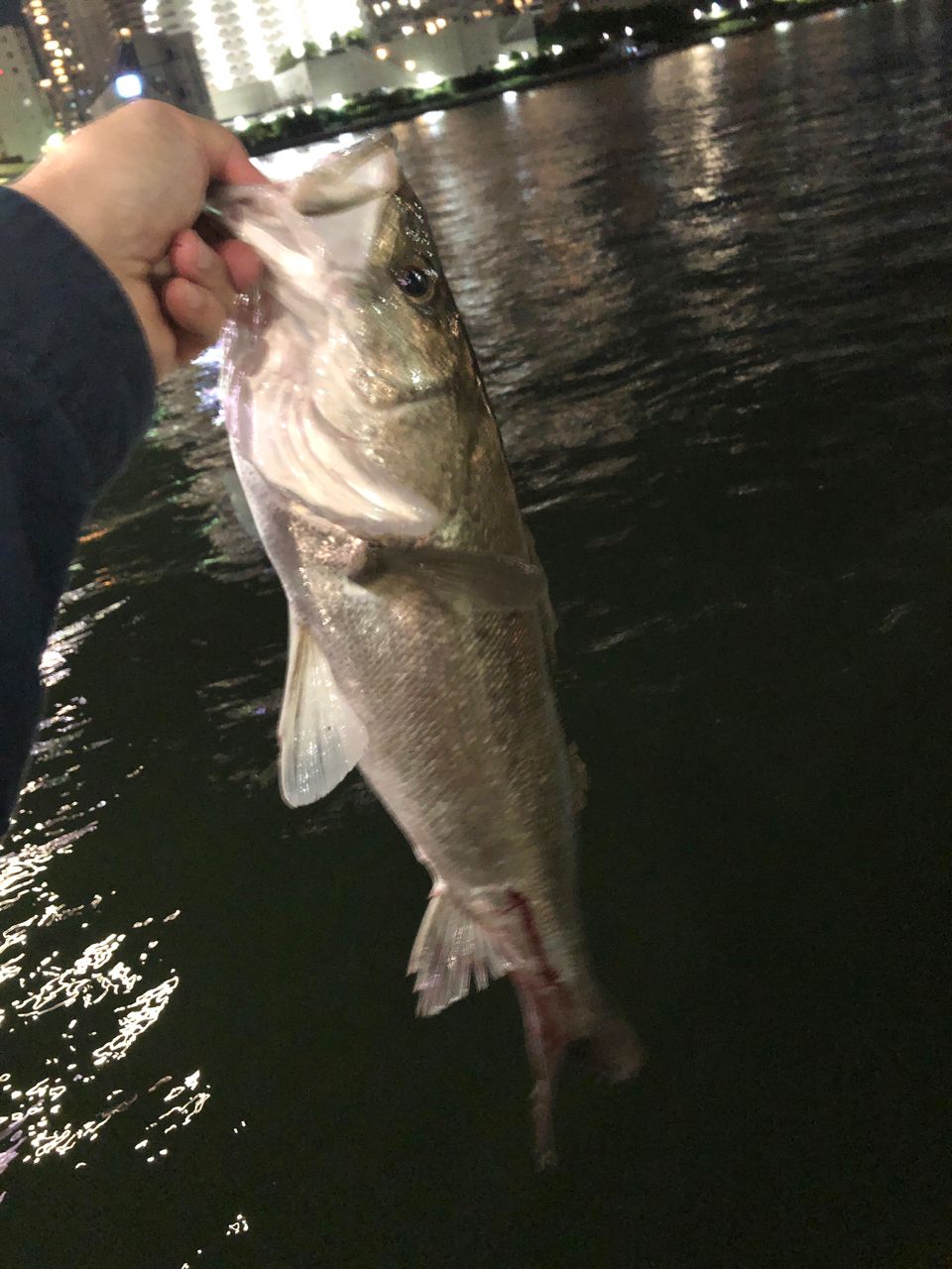 DAIWA 23PR100 100HLの釣果一覧 | 本音の口コミが集まる釣具通販