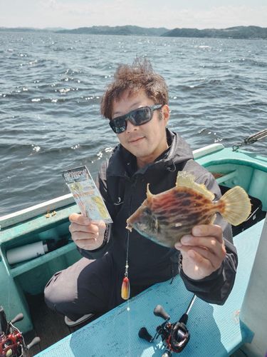 カワハギの釣果