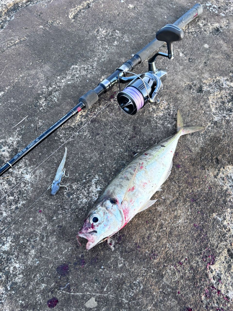 SHIMANO 22ステラ 4000MHGの最安値・インプレ・釣果 | 本音の口コミが