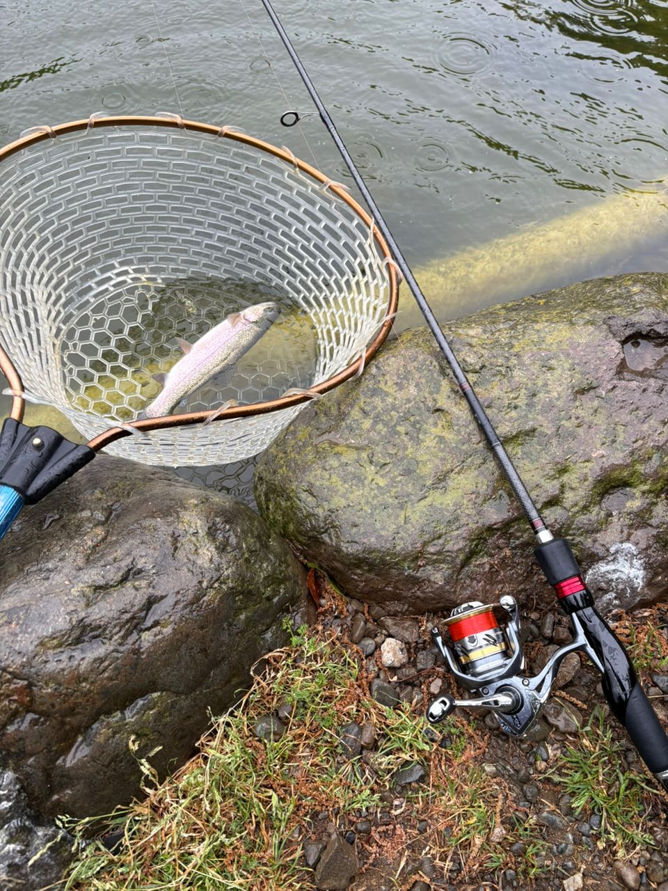 DAIWA 16アジング X 68L-Sの最安値・インプレ・釣果 | 本音の口コミが